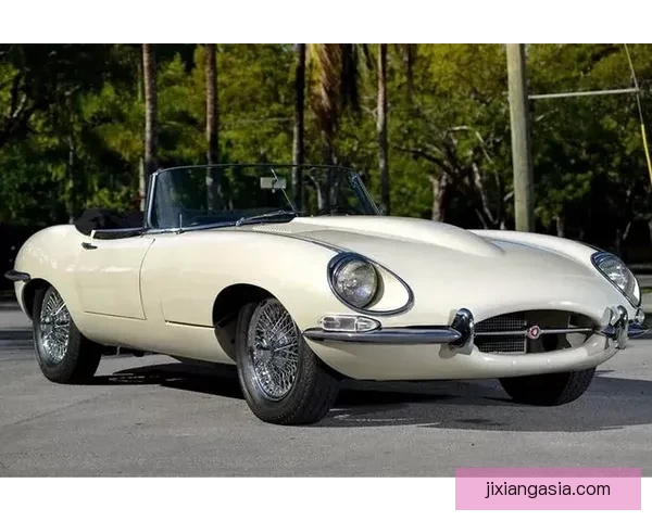 詹姆斯偶遇鳄鱼惊魂一刻晒30万豪车收藏十余台顶级座驾