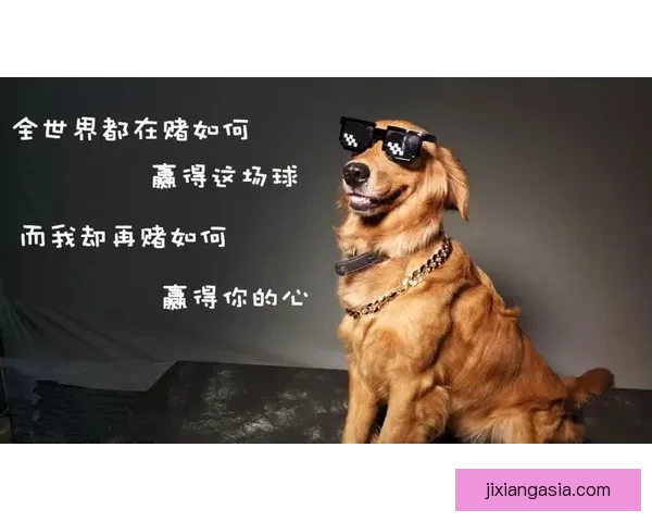世界杯买球官网权威指南助你掌握投注技巧与赛事分析秘诀全面提升胜率